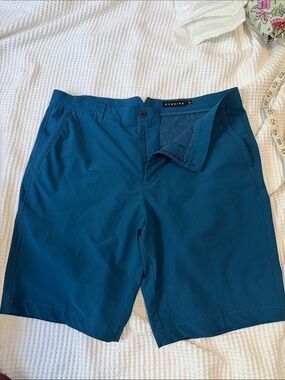 Dunning Teal Hybrid Shorts for Men